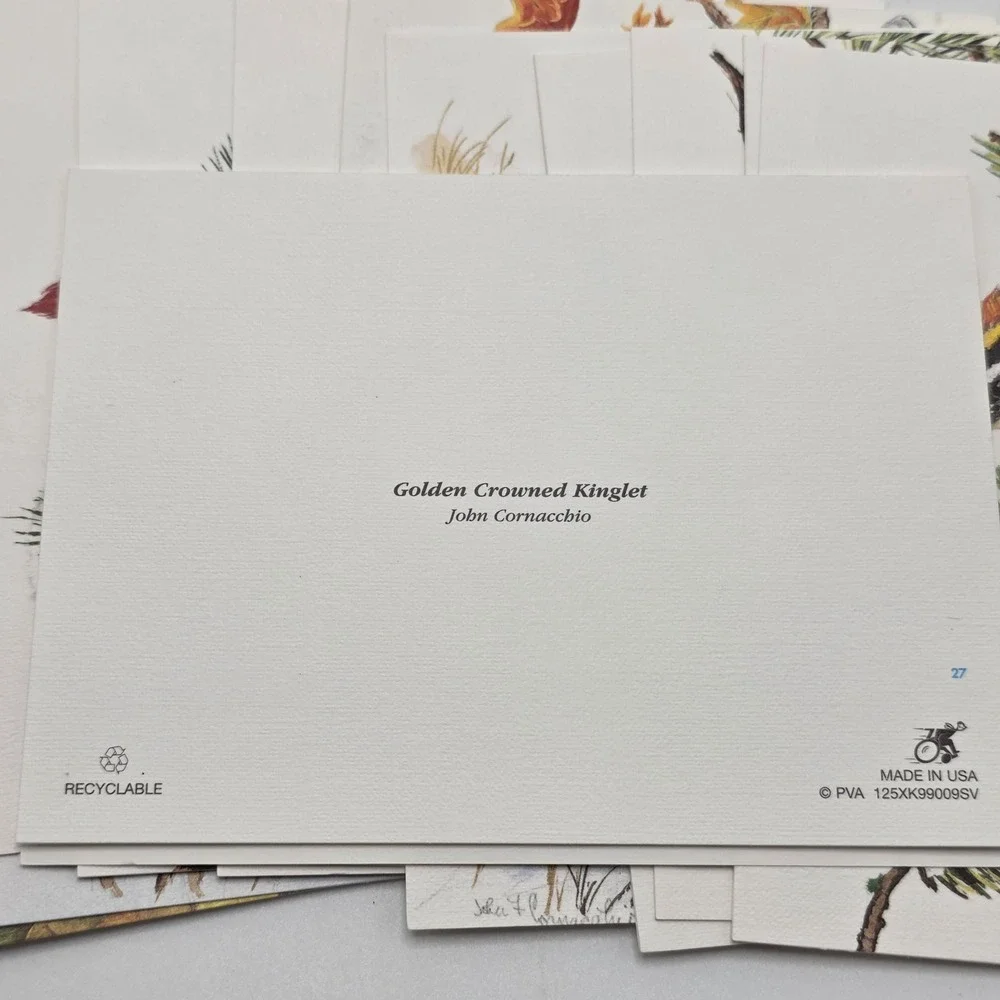 John Cornacchio‎ Bird Note Cards 16ct Multicolor Wildlife Art Stationery Set USA